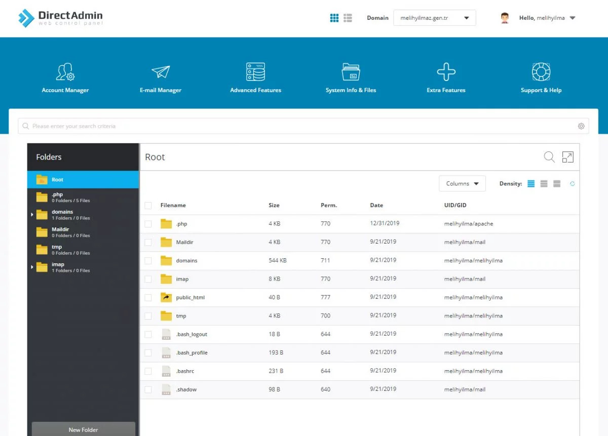 DirectAdmin Nedir?
