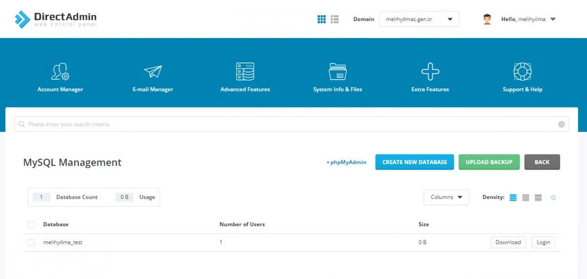 DirectAdmin Nedir?